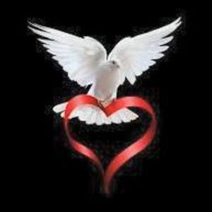 Meet your Posher, Penny